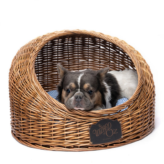 The Wizard of Oz at Sphere Woven Pet Bed