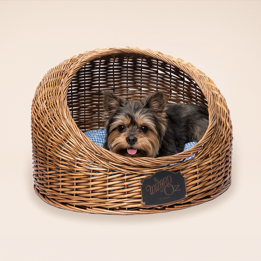 The Wizard of Oz at Sphere Woven Gingham Pet Bed